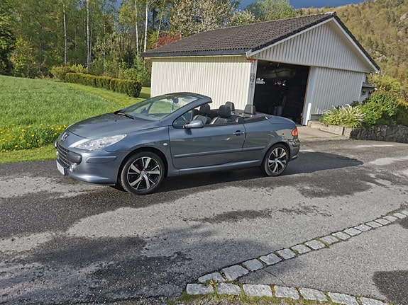 Peugeot 307 28 of 30