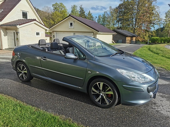 Peugeot 307 29 of 30