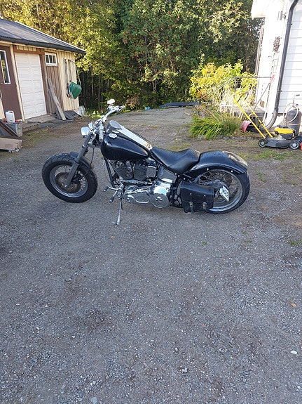 Harley-Davidson FXST Softail Standard / Custom 3 of 24
