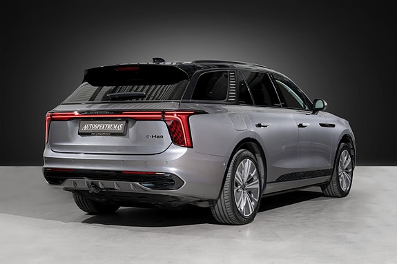 Hongqi E-HS9 5 of 5