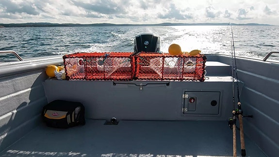 Se Sting 600 PRO Open hos OceanDrive i Trondheim 8 of 9