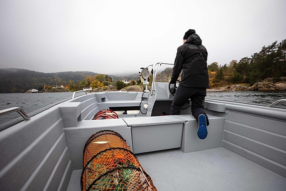 Se Sting 600 PRO Open hos OceanDrive i Trondheim 4 of 9
