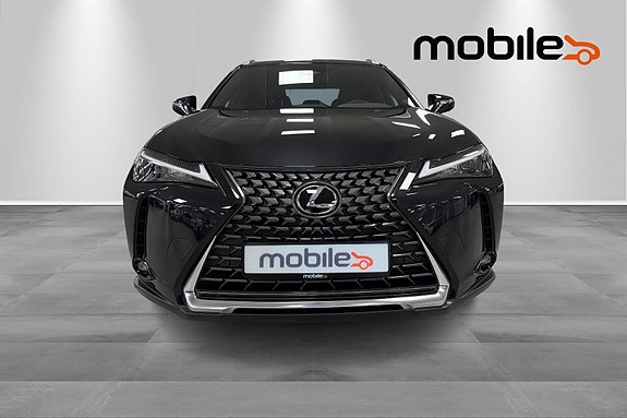 Lexus UX300e 18 of 30