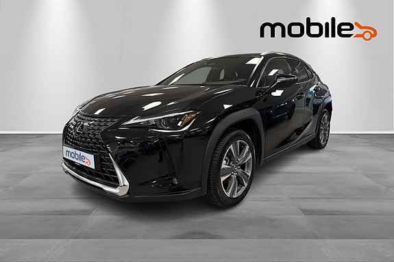 Lexus UX300e 19 of 30