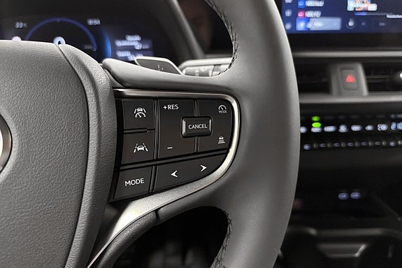 Lexus UX300e 16 of 30