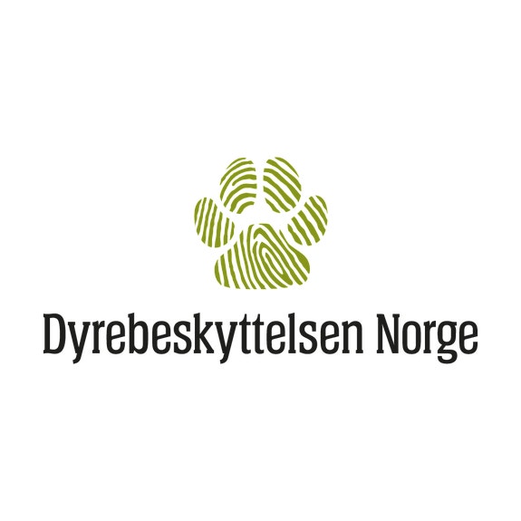 Bilde fra arbeidsgiver