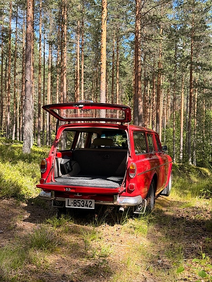 Volvo Amazon 6 of 20