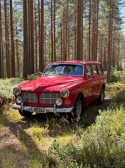 Volvo Amazon 2 of 20