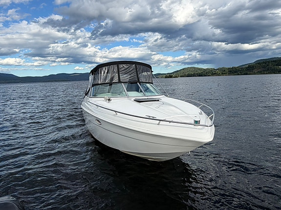 Meget hel og pen Rinker Captiva 272 med ny motor og drev i 2018 inkl henger 9 of 30