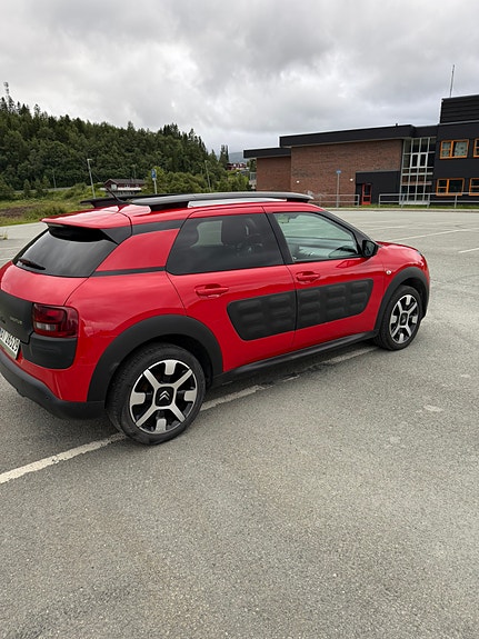 Citroen C4 Cactus 4 of 5