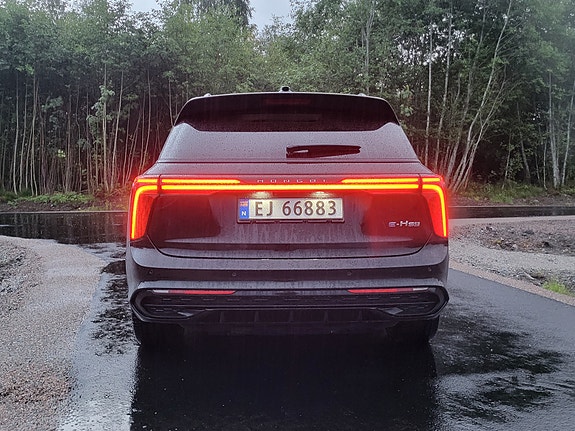 Hongqi E-HS9 4 of 5