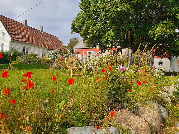 Nydelige omgivelser på Ullandhaug økologiske gård