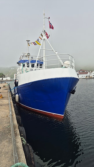 Stålskøyte 4 of 30