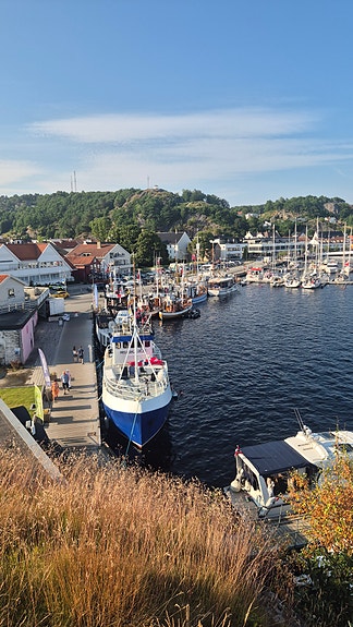 Stålskøyte 2 of 30