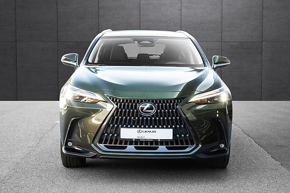 Lexus NX450h 6 of 20