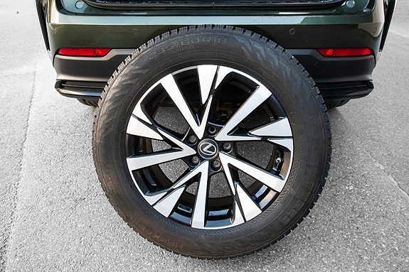 Lexus NX450h 19 of 20