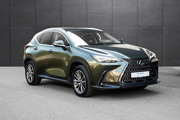 Lexus NX450h 5 of 20