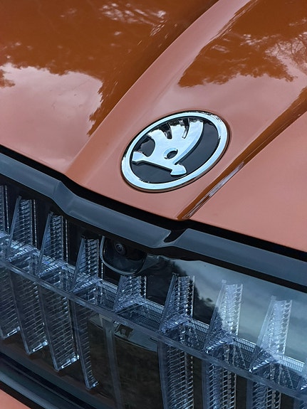 Skoda Enyaq RS 14 of 30