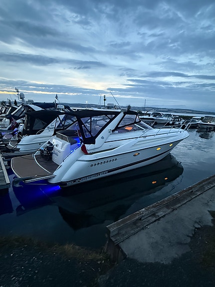 Sunseeker Portofino 40 (Høstpris) 8 of 30