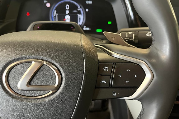 Lexus RZ450e 22 of 24