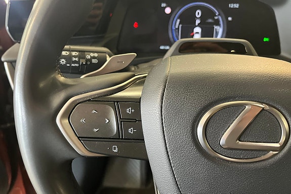 Lexus RZ450e 21 of 24