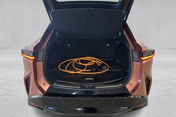 Lexus RZ450e 17 of 24