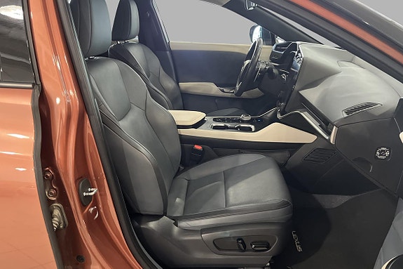 Lexus RZ450e 14 of 24