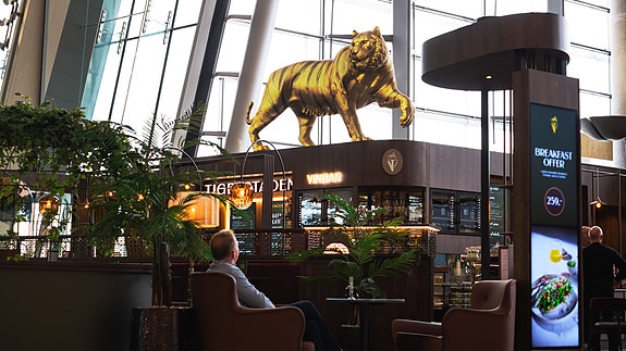 Tigerstaden - Foto av Grid branding