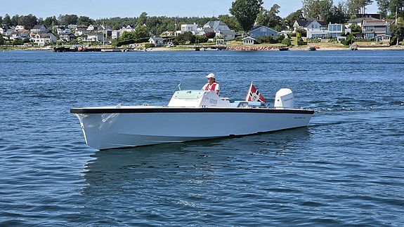 Meget pen Goldfish Tender 28 | Mercury V6 300 | Grip foam | Lenco trim | Garmin 3 of 5