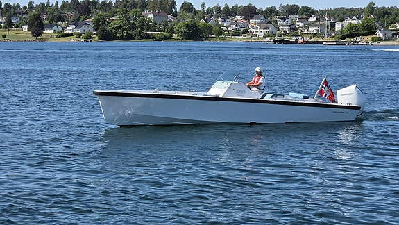 Meget pen Goldfish Tender 28 | Mercury V6 300 | Grip foam | Lenco trim | Garmin 2 of 5