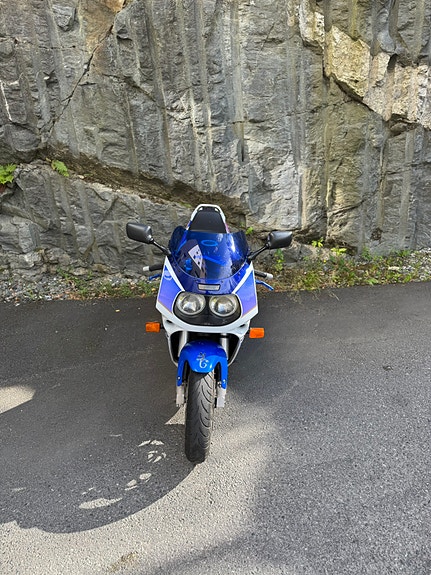Suzuki GSX-R 1100 18 of 21