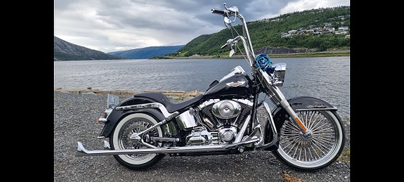 Harley-Davidson FLSTN Softail Deluxe 9 of 20