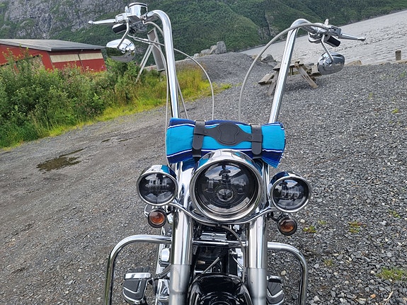 Harley-Davidson FLSTN Softail Deluxe 16 of 20