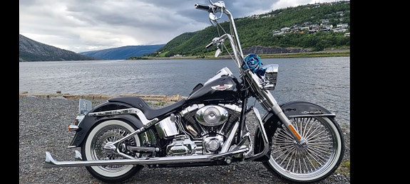 Harley-Davidson FLSTN Softail Deluxe 2 of 20