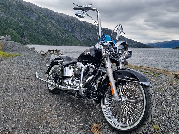 Harley-Davidson FLSTN Softail Deluxe 20 of 20