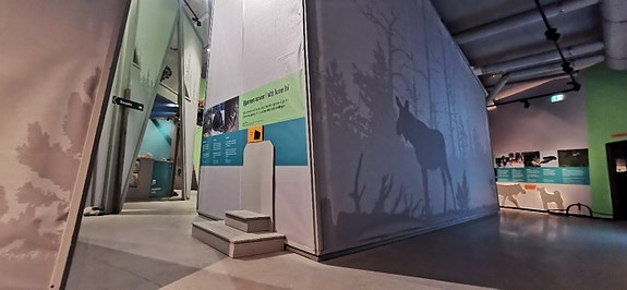 Bilde 3 av 3 i jobbannonse-galleriet