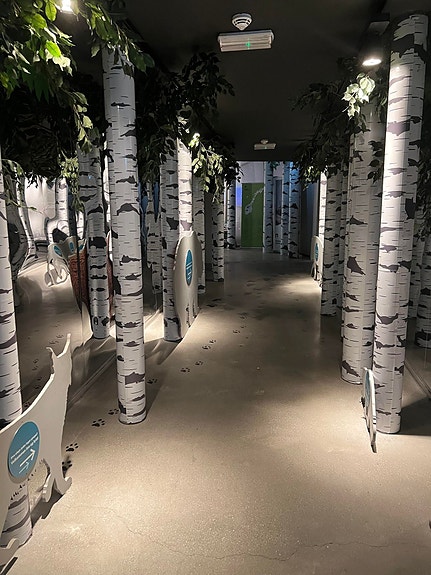 Bilde 2 av 3 i jobbannonse-galleriet