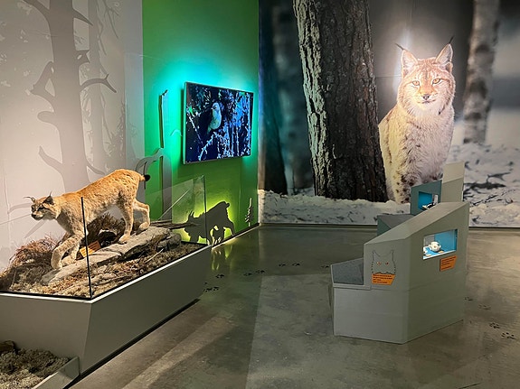 Bilde 1 av 3 i jobbannonse-galleriet