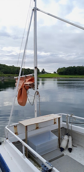 Fiskebåt / hobbysjark til salgs. Rimelig høstpris. 5 of 14