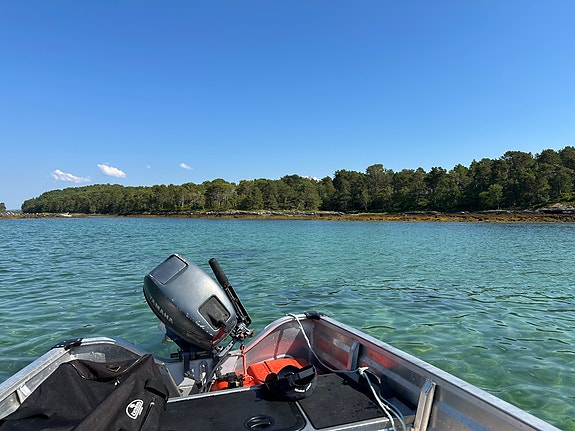 Perfekt fiskebåt, dagsturbåt for sjø og ferskvann m/ekkolodd 3 of 8