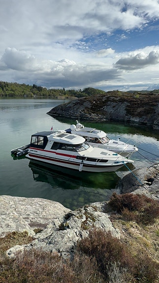 Halco Royal 33fot (Aksling) 4 of 30