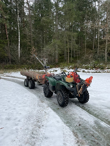 Yamaha Grizzly 7 of 7