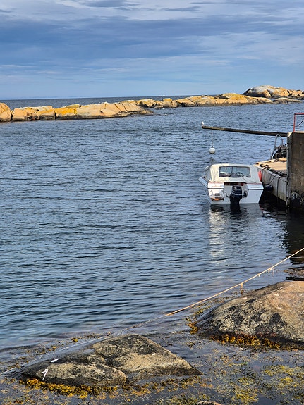 Pen 16-fots Fourwinns m/ Evinrude 60 hk og båthenger inkludert 14 of 20