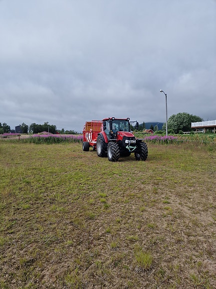 CASE IH FARMALL 85 A 3 of 8