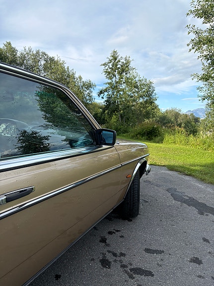 Mercedes-Benz 230 20 of 30