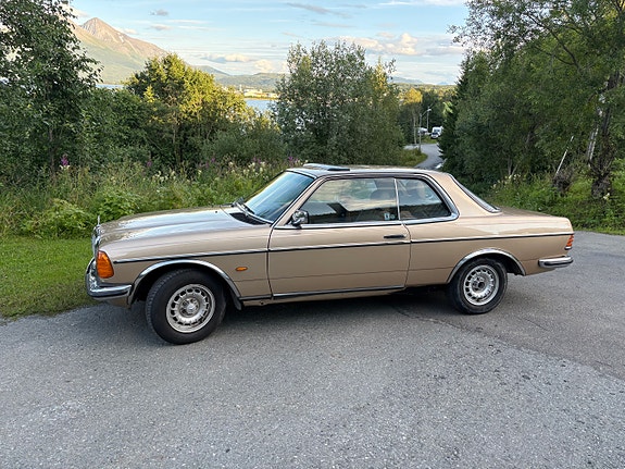 Mercedes-Benz 230 4 of 5