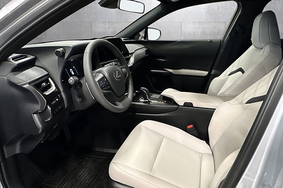 Lexus UX300e 11 of 30