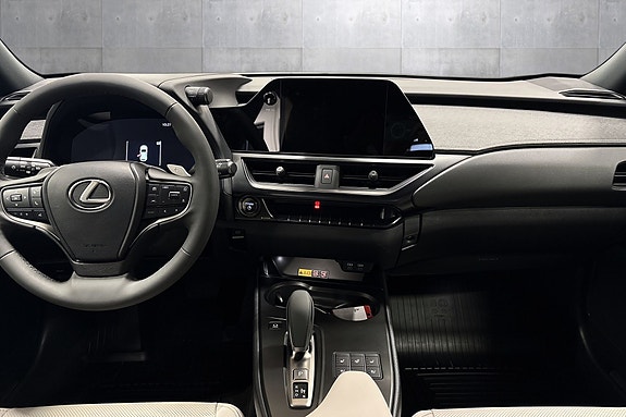 Lexus UX300e 10 of 30
