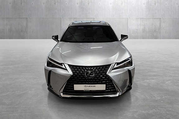 Lexus UX300e 8 of 30