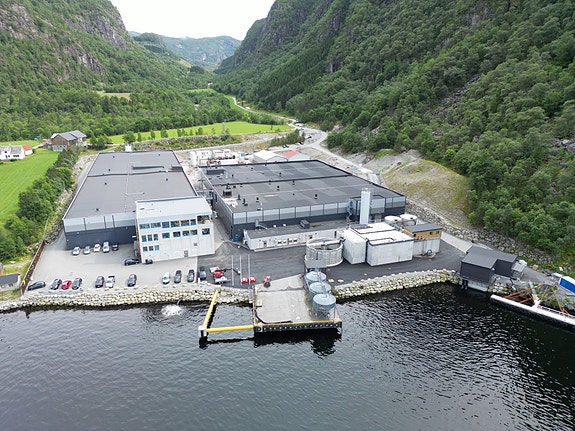 Bilde fra arbeidsgiver